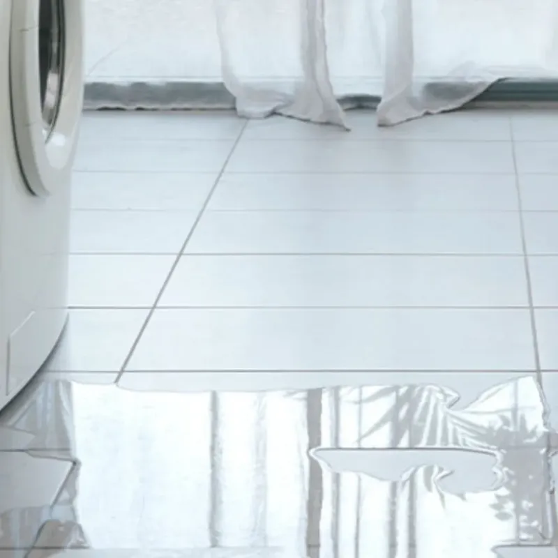 Appliance Leak Cleanup in Ganado, TX
