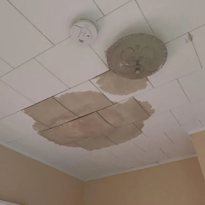 Ceiling Water Damage Repair in Ganado, TX