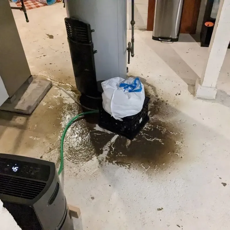 Sewage Backup Cleanup Service in Ganado, TX